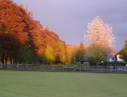 Builth Wells Bowling Club