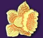 MWWBA Daffodil